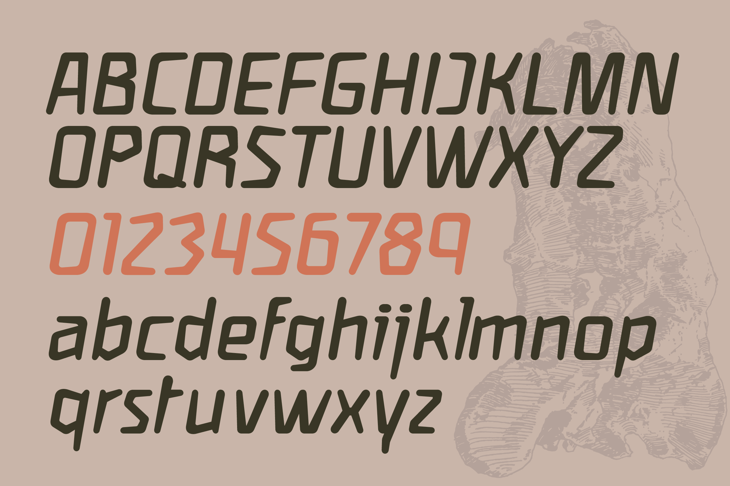 Modern sans serif font with italic variant, olive green uppercase, coral numbers, lowercase set on textured beige background