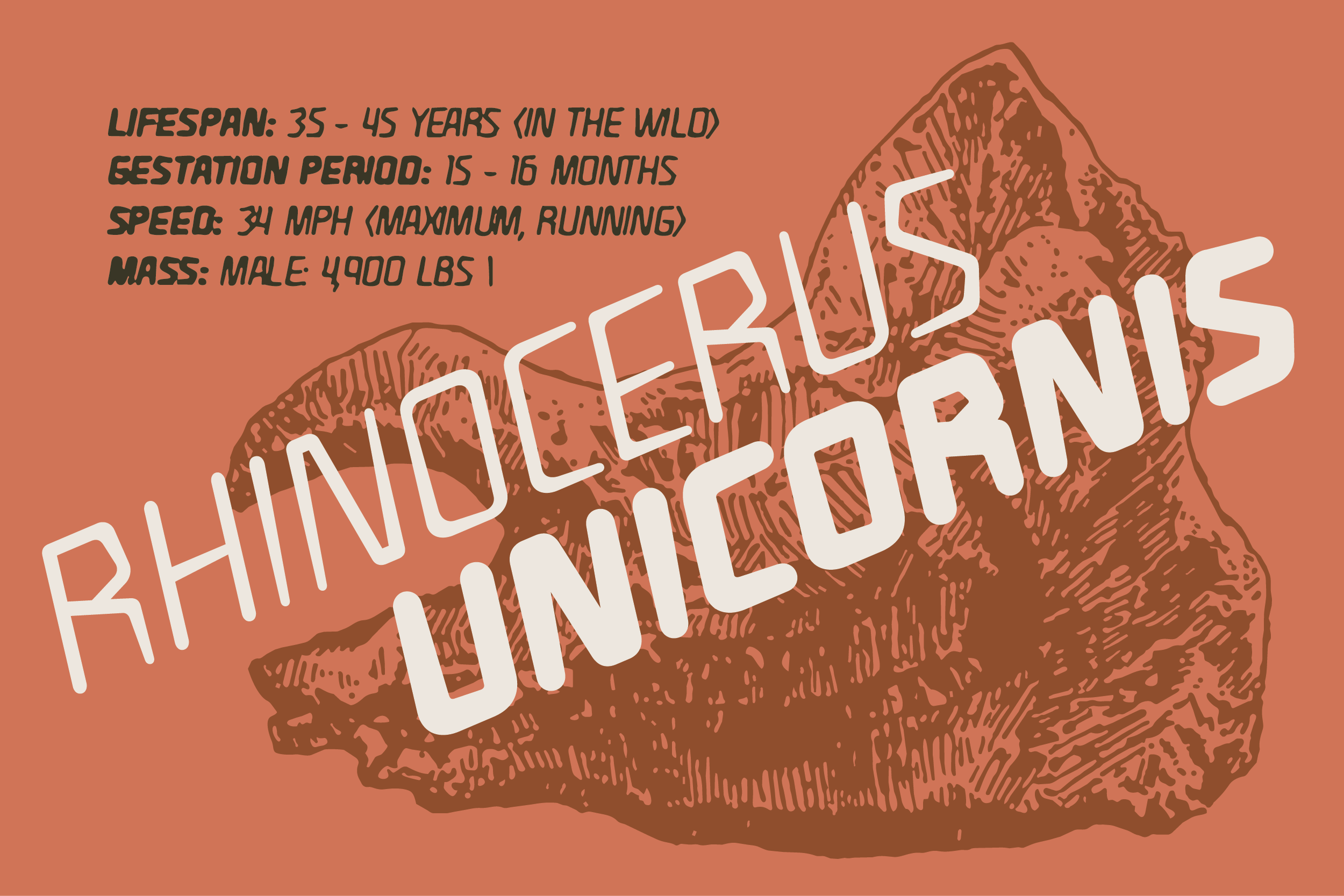 Rhinoceros illustration with wildlife facts overlaid in bold white text on warm terracotta background