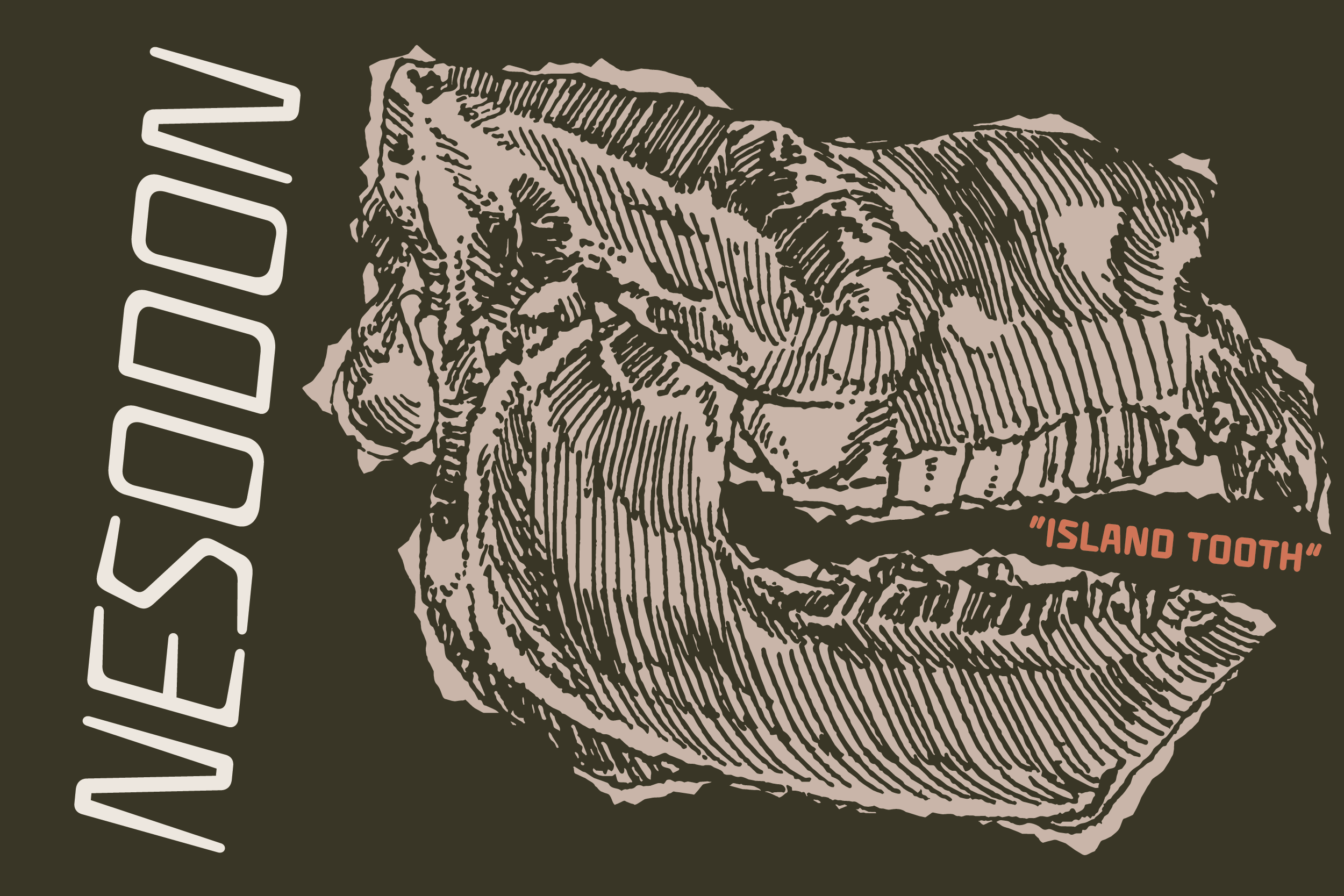 Vintage engraved fossil tooth illustration with hand-drawn etching style on olive background