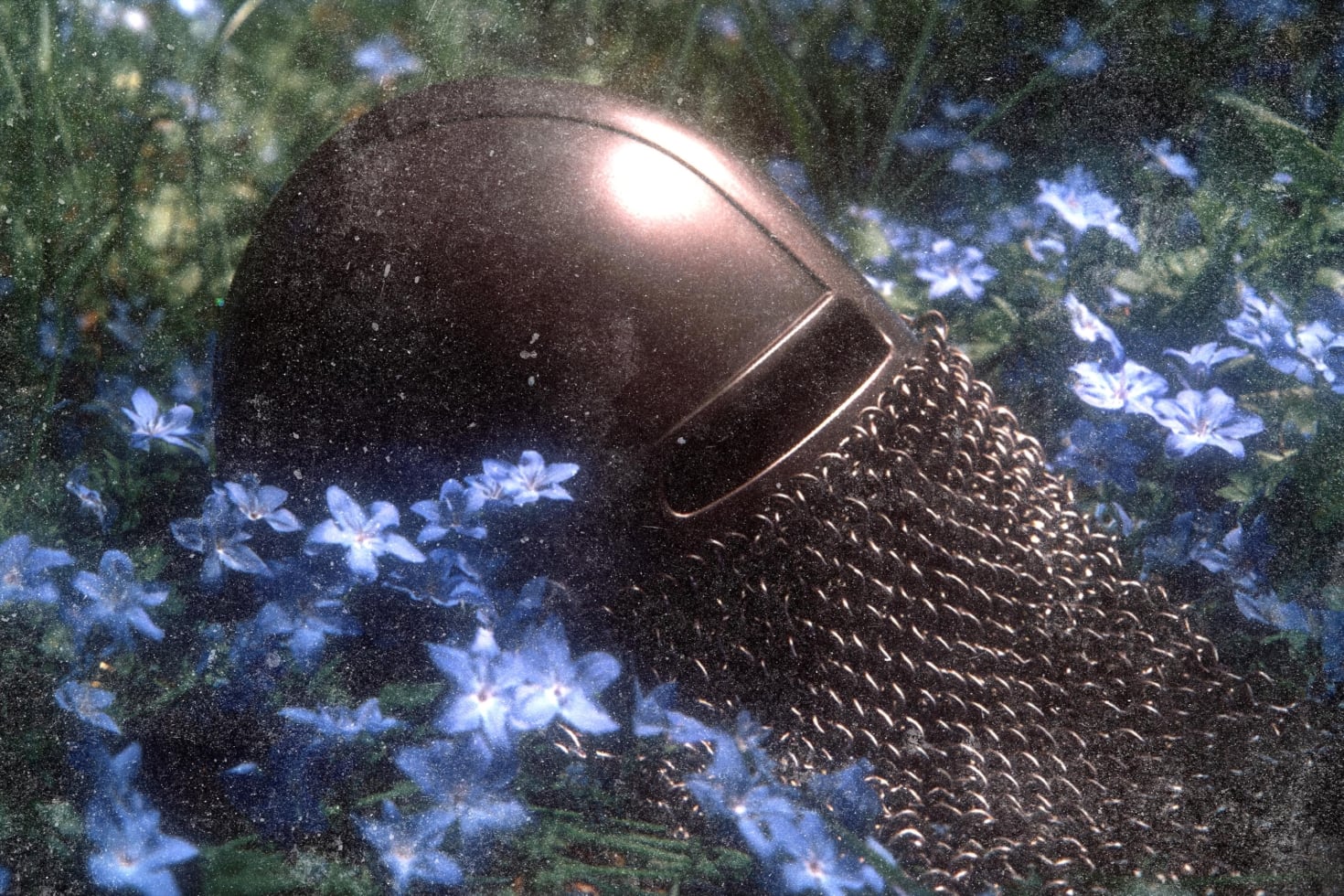 Glossy black watering can nestled in blue flowers with moody garden vibes