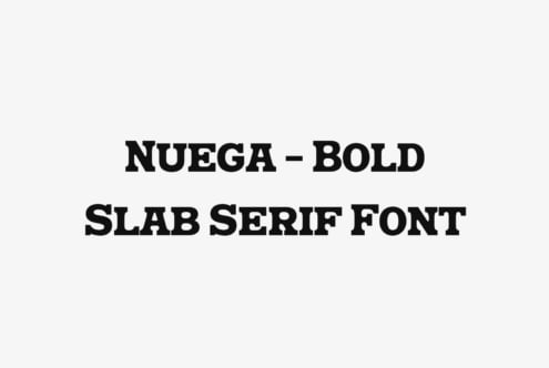 Nuega – Bold Slab Serif Font font by Blankids
