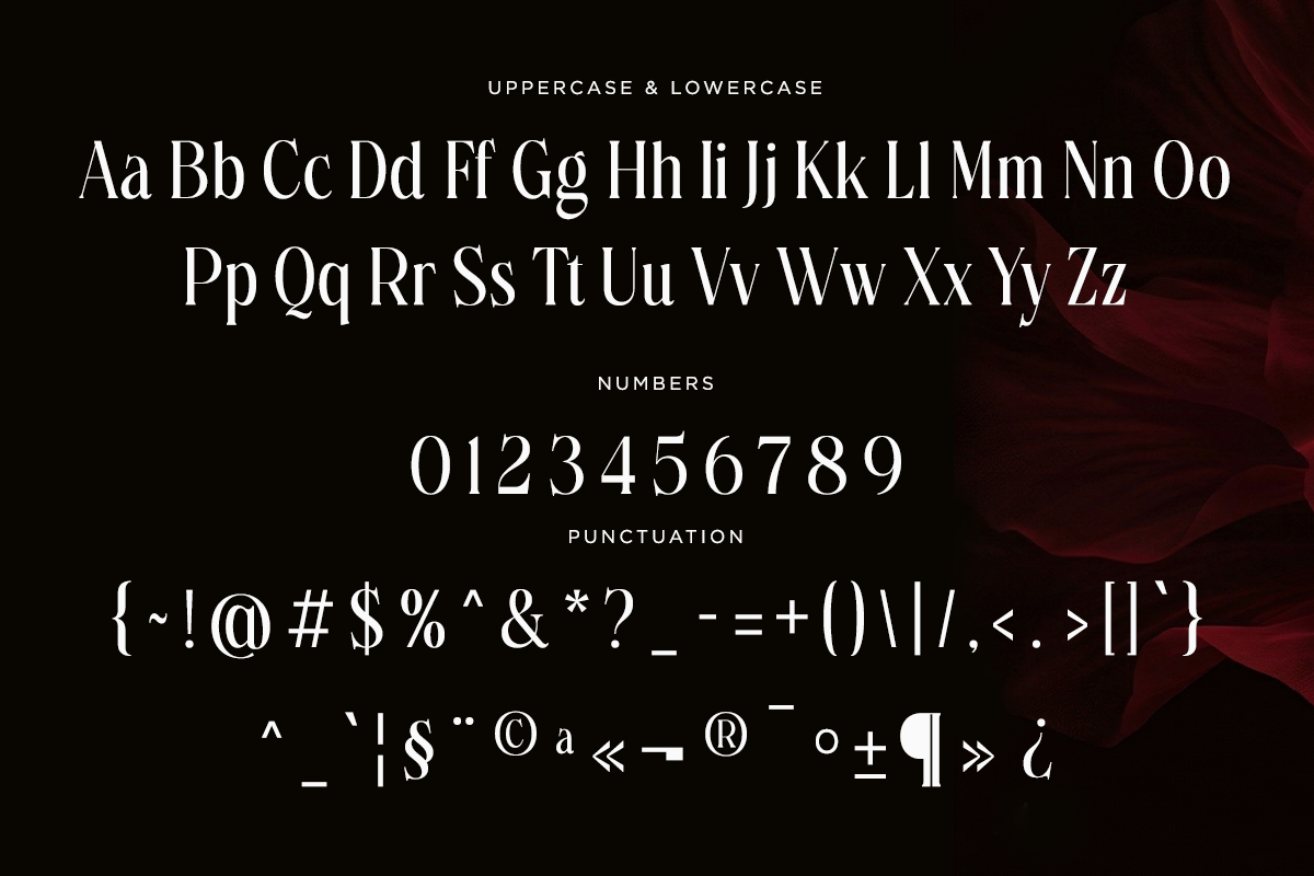 Elegant serif font showing uppercase, lowercase, numbers, plus punctuation marks on dark red background