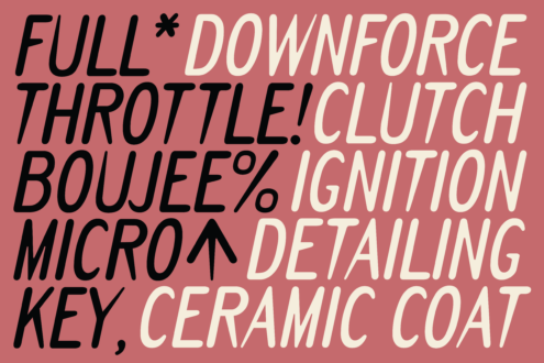 Bold typography mockup with product features listed in black plus cream text on dusty rose background