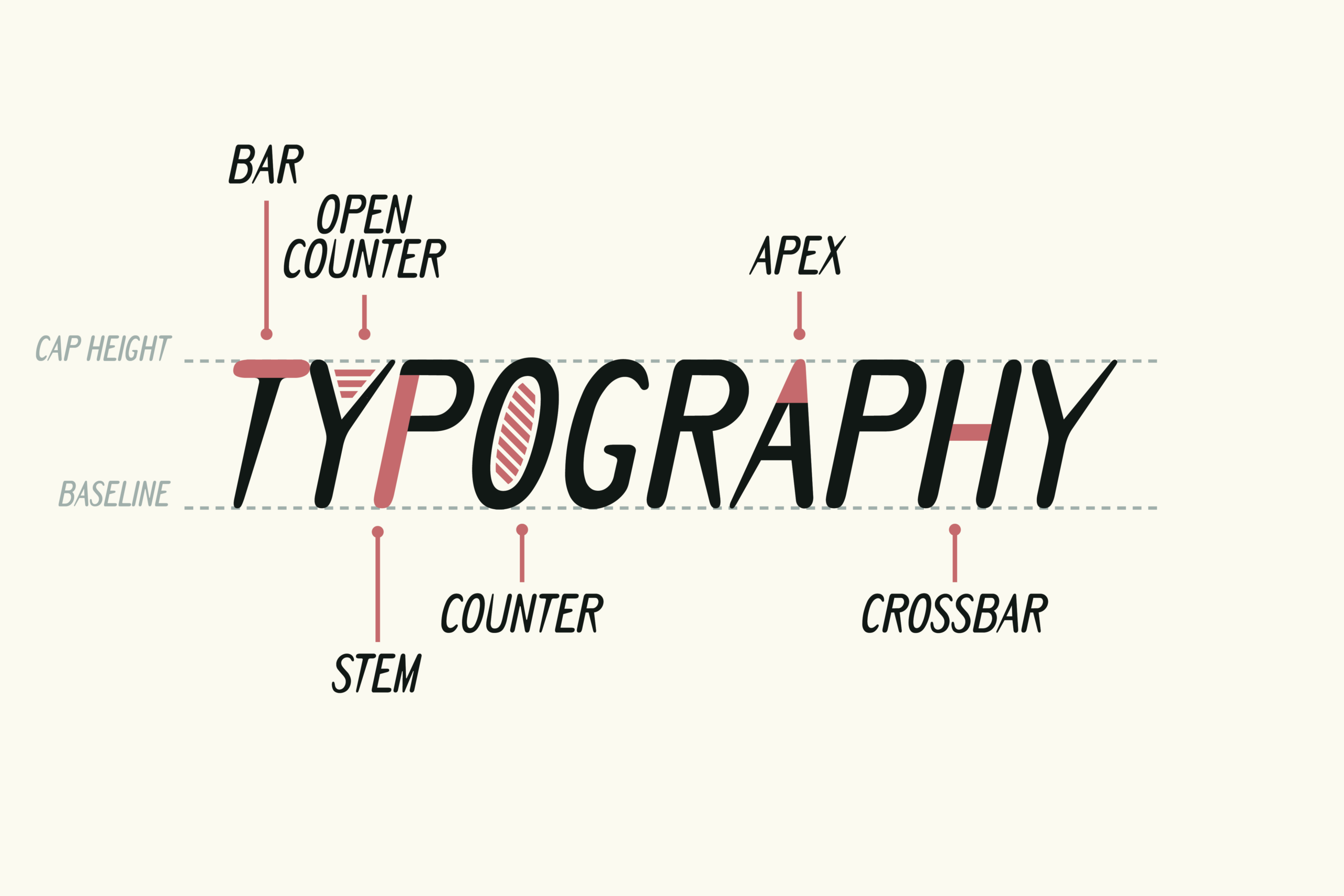 Typography anatomy diagram showing type measurements with labeled baselines, cap height, counter, stem, apex, crossbar details