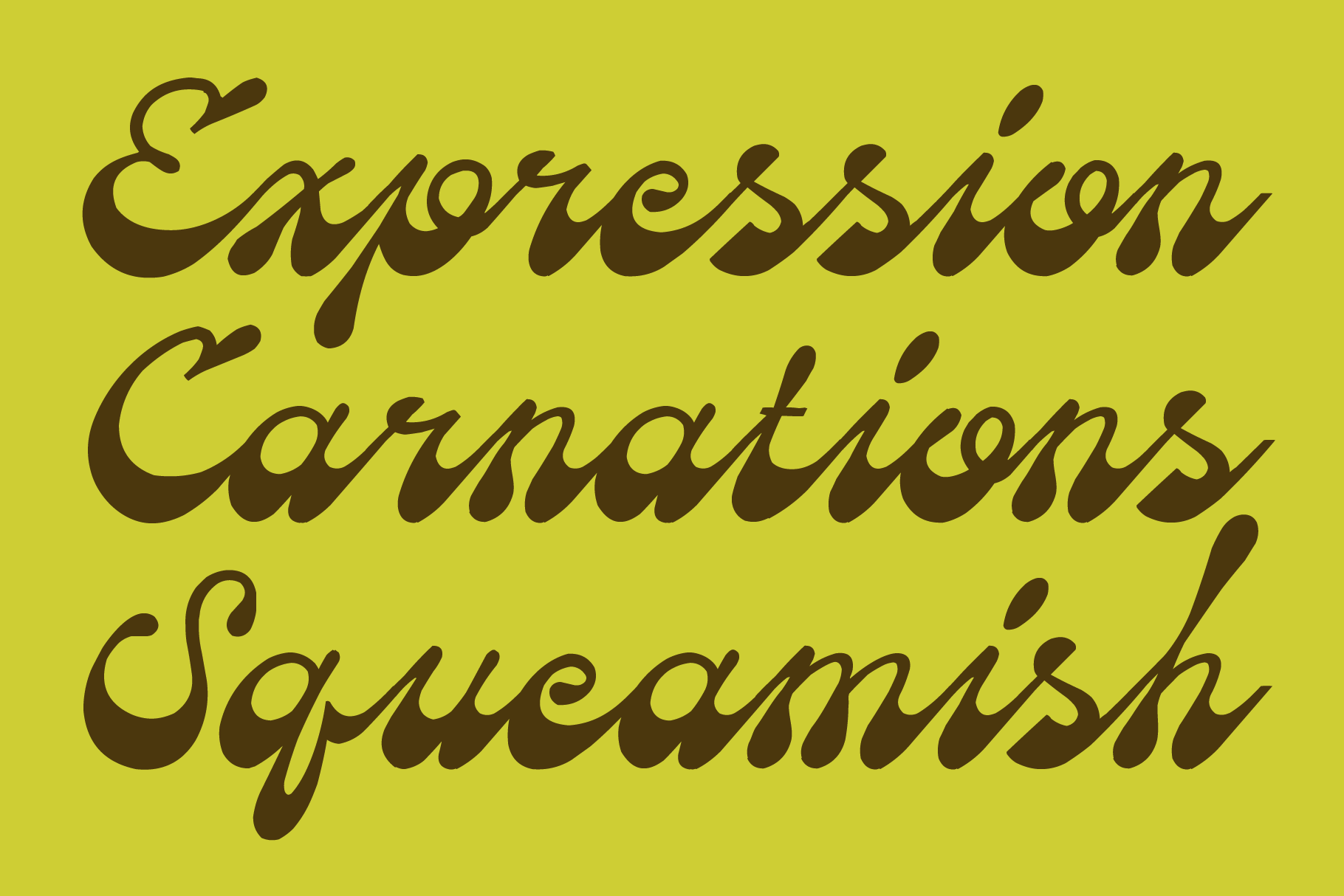 Elegant serif font in dark brown on chartreuse background displaying decorative script text