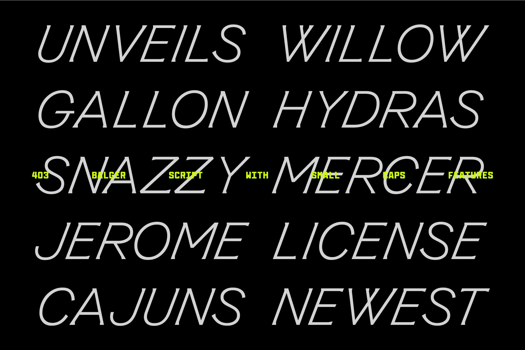Elegant italic sans serif font displayed on black background with sample text