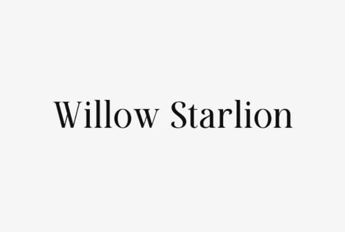 Willow Starlion serif font in black on light gray background