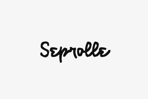 Serrolle handwritten script font in bold black strokes on light background