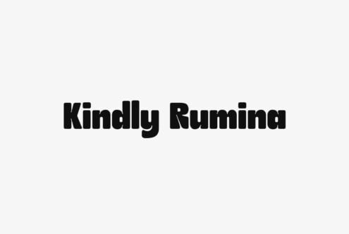 Kindly Rumina bold sans serif typeface on light gray background