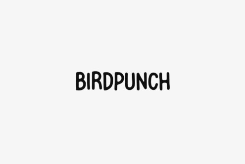 Birdpunch sans serif font in bold black letters centered on light gray background