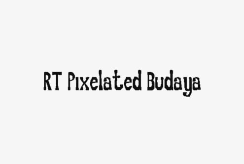 RT Pixelated Budaya font displayed in chunky pixel style on light background