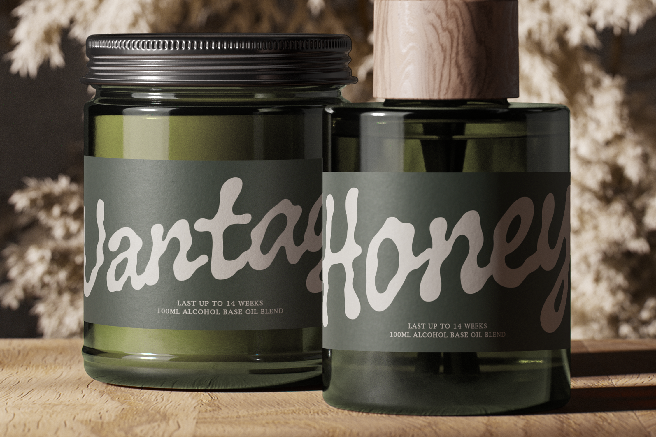 Adelaide Home font by Typia Nesia