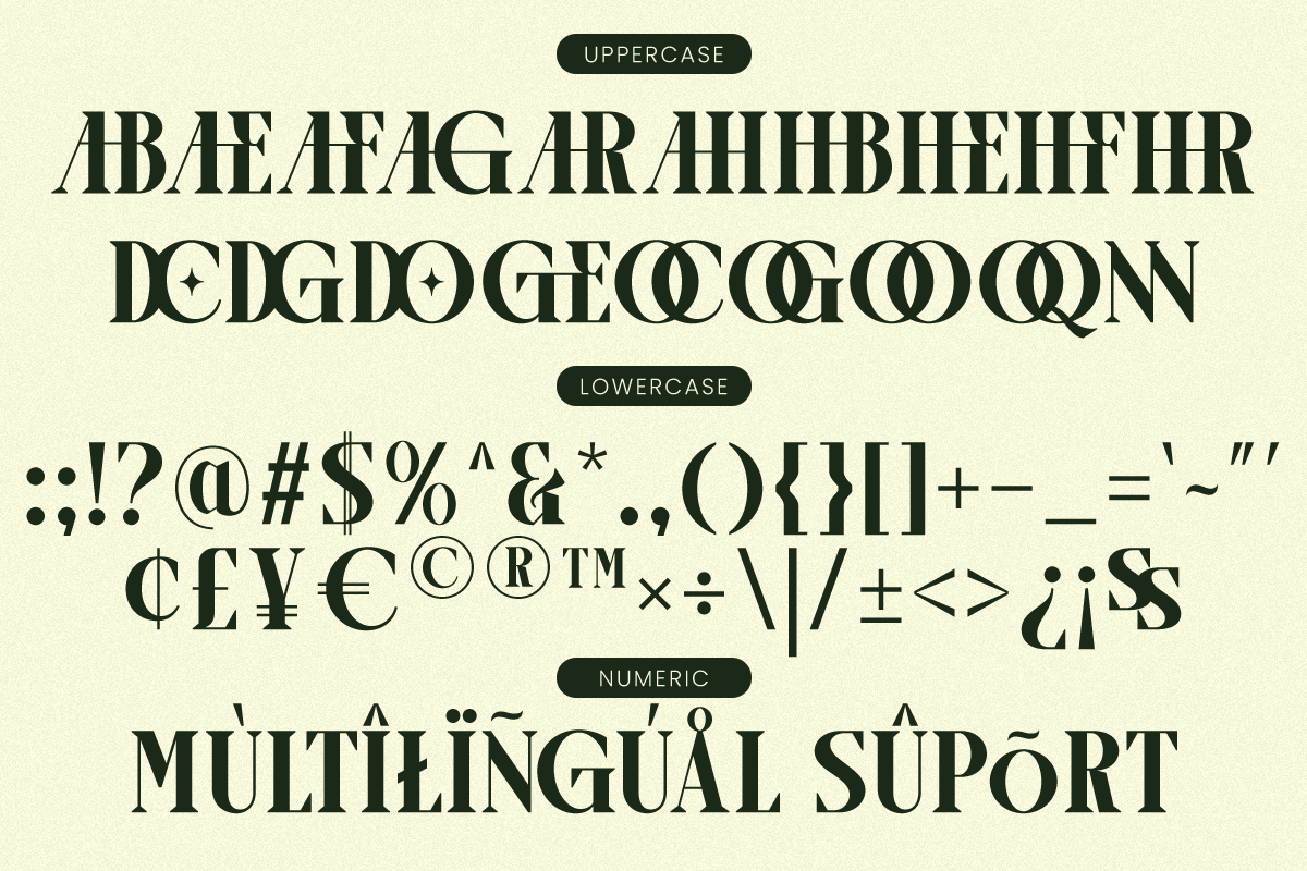 High-contrast serif font specimen showing uppercase, lowercase, numerics, symbols, plus multilingual character support