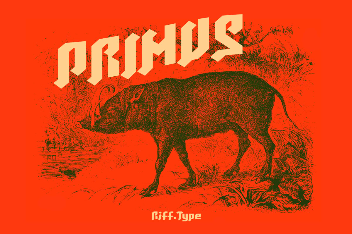 Bold vintage boar illustration with cream isometric type on bright red background