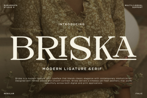 Briska serif font display with elegant typography on muted fabric background