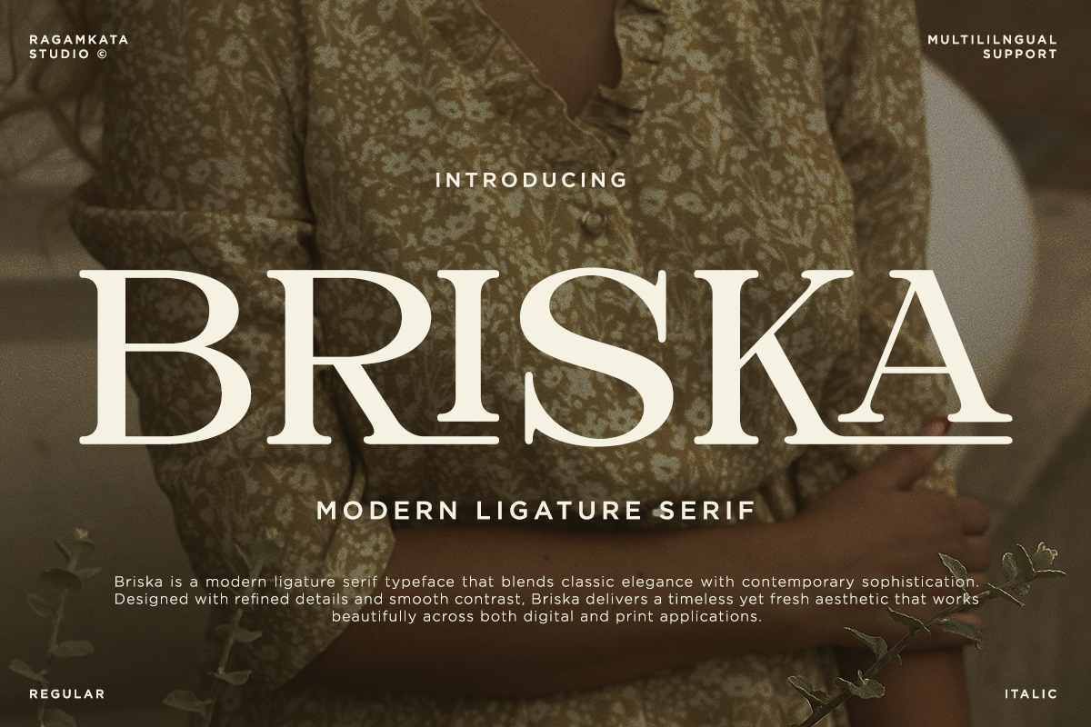 Briska serif font display with elegant typography on muted fabric background