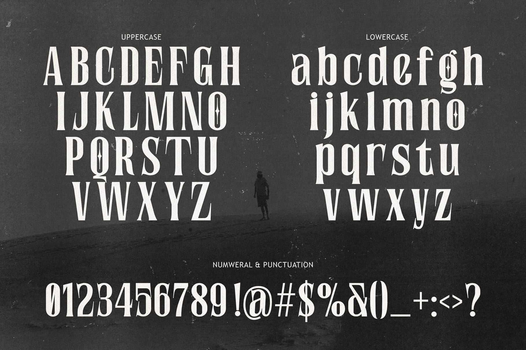 Bold serif font showing uppercase, lowercase, numbers with moody textured background
