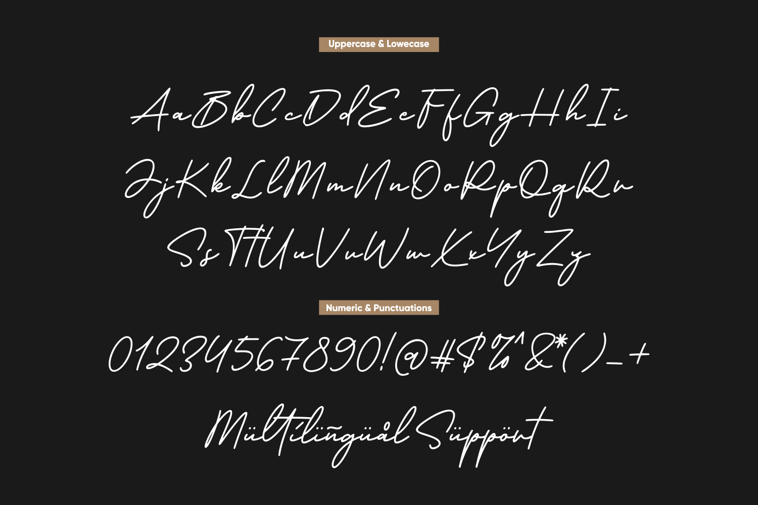 Elegant script font showing uppercase, lowercase, numbers, punctuation on dark background
