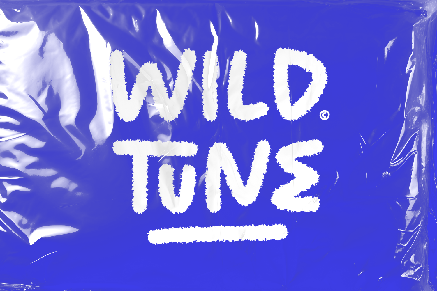 Wild tones textured white lettering on vibrant blue with organic leaf elements on sides