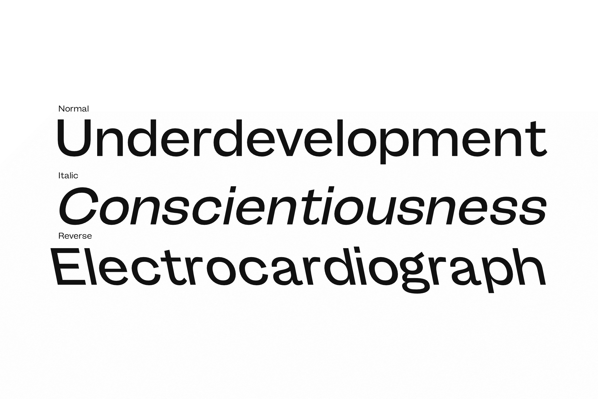 Clean sans serif font showing normal, italic, reverse weights with sample words