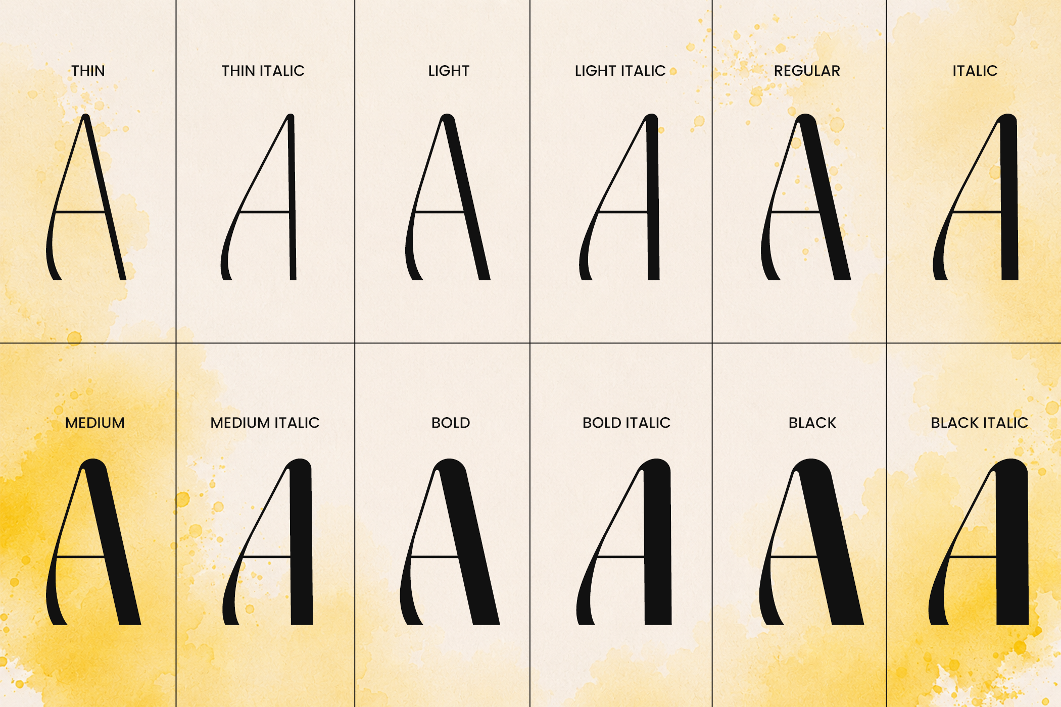 Font weight variations from thin to black with italic options on watercolor background