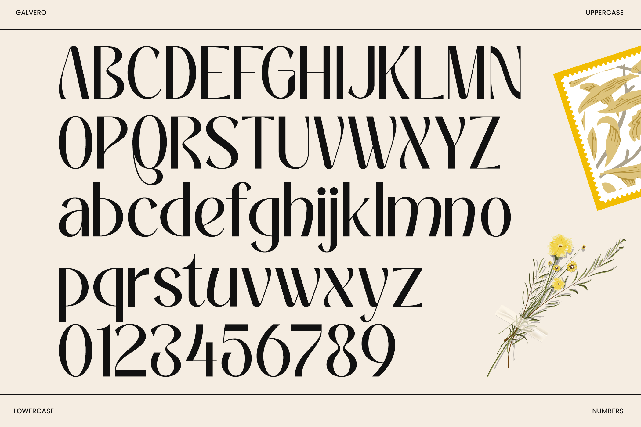 Galvero serif font displaying uppercase, lowercase, numbers with botanical ornaments