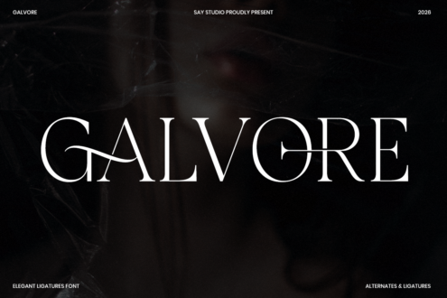Galvore serif font with elegant ligatures on dark textured background by Say Studio