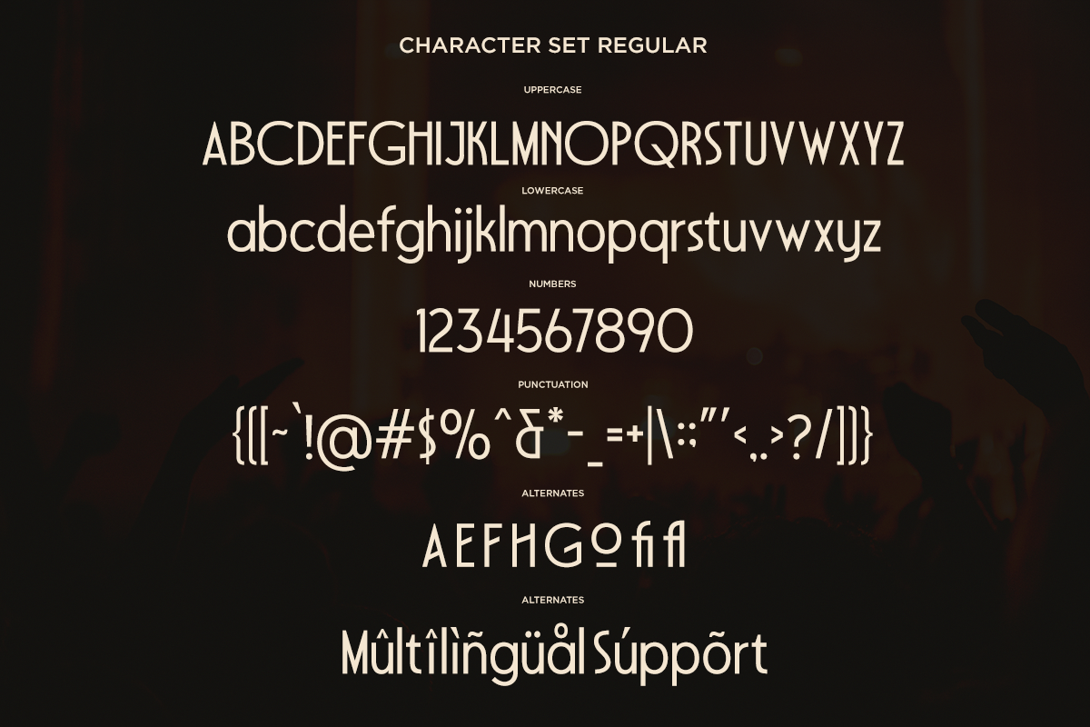 Character set regular showing uppercase, lowercase, numbers, punctuation, alternates plus multilingual support