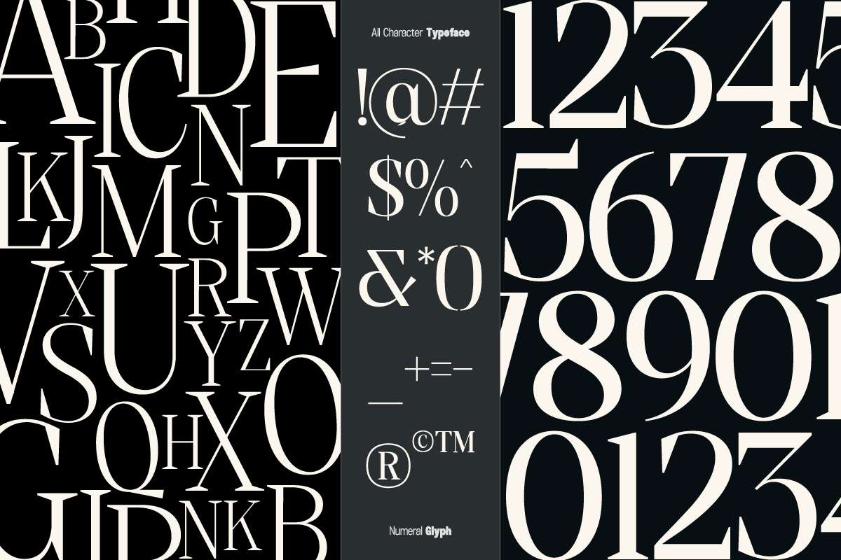 All Character Typeface displaying elegant serif letters, numbers, symbols plus special characters on dark background