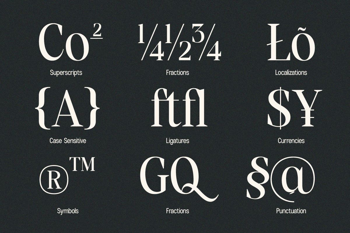 Font features grid showing superscripts, fractions, localizations, case sensitivity, ligatures, currencies, symbols, plus punctuation options