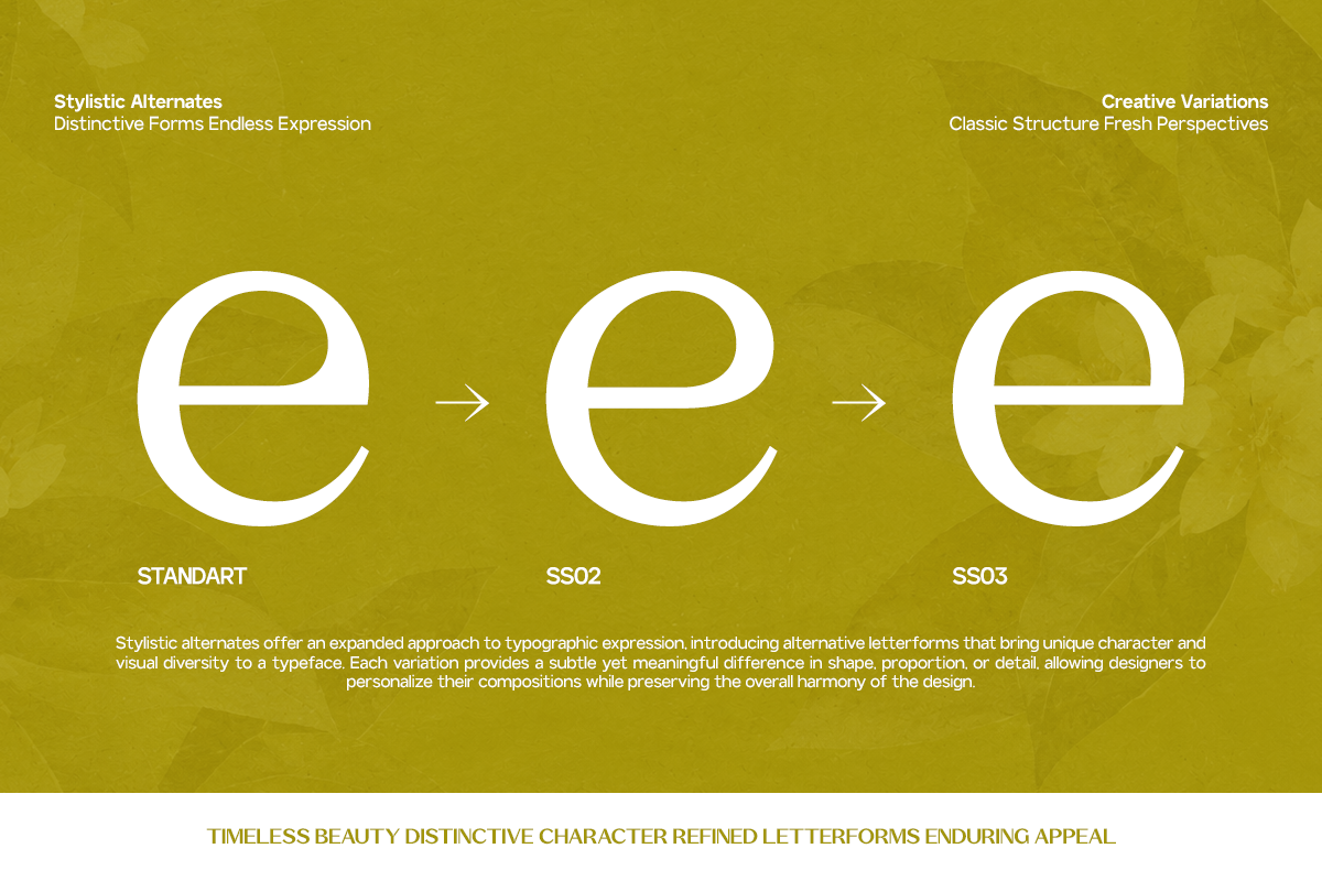 Three stylistic letter e variations shown on mustard background with progression arrows between them