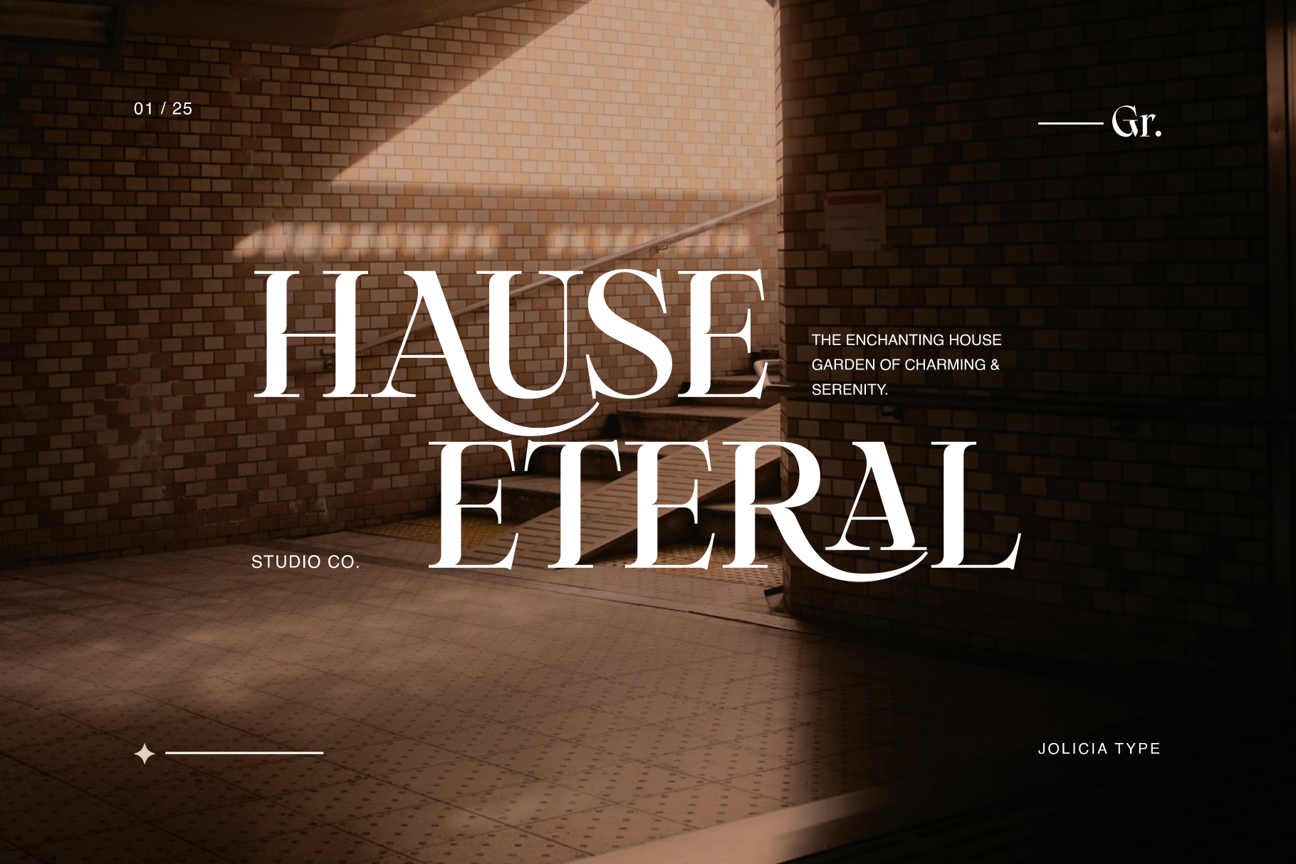 Elegant serif typeface displayed over warm brick interior with natural light casting geometric shadows