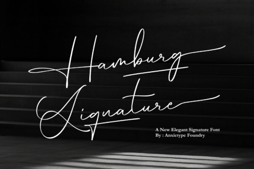 Hamburg Signature font in flowing white script on dark textured background