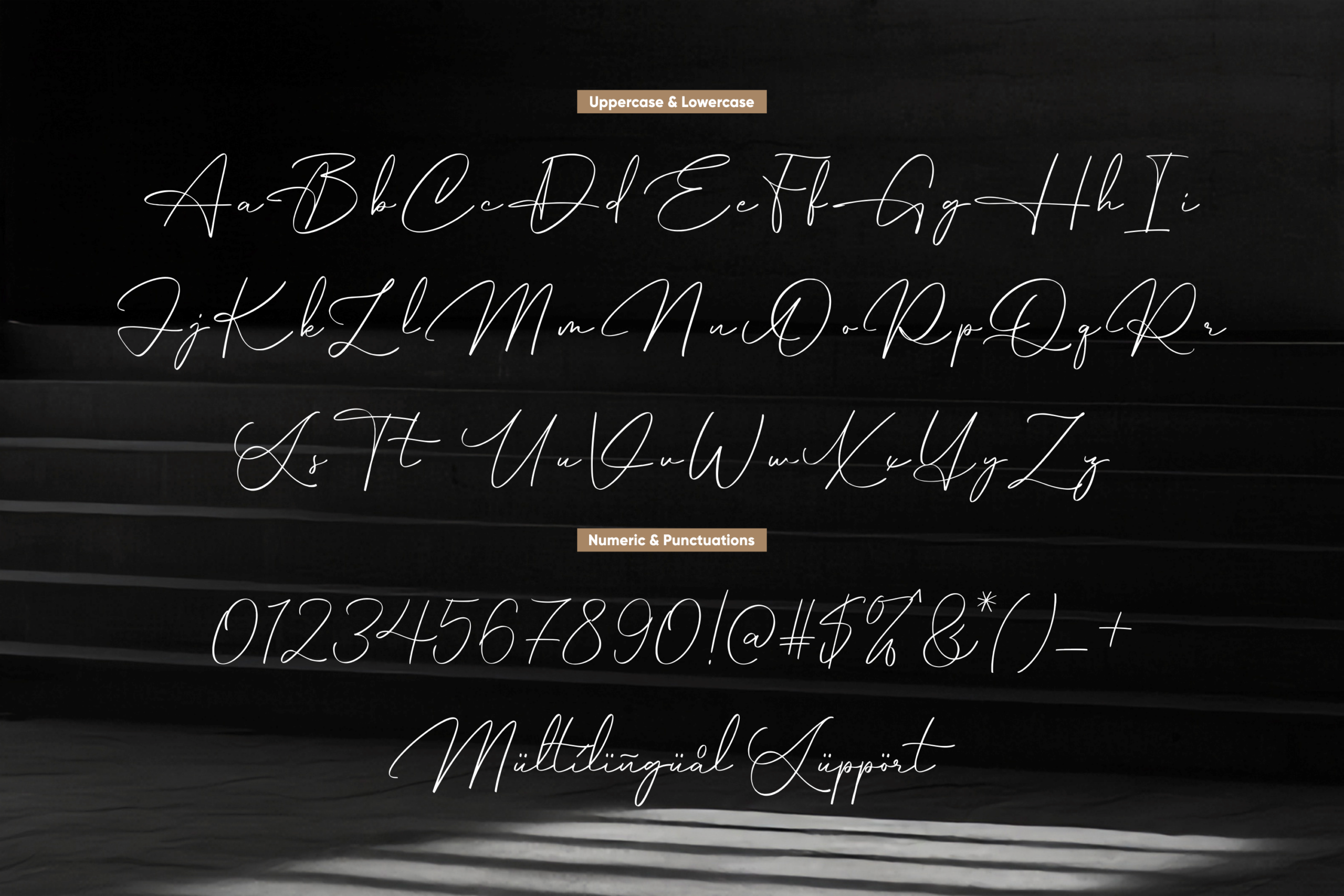 Elegant script font with connected letterforms, numbers, punctuation on dark background