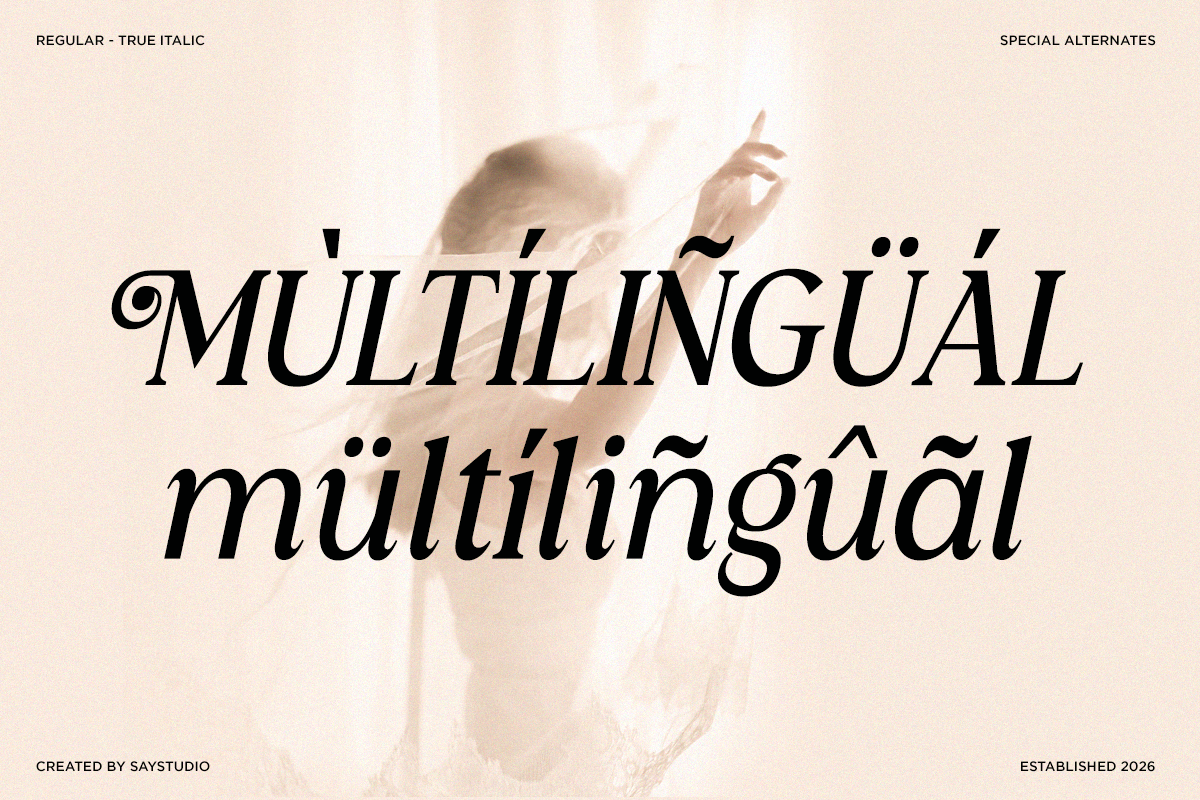 Serif font with true italic, multilingual characters, special alternates shown