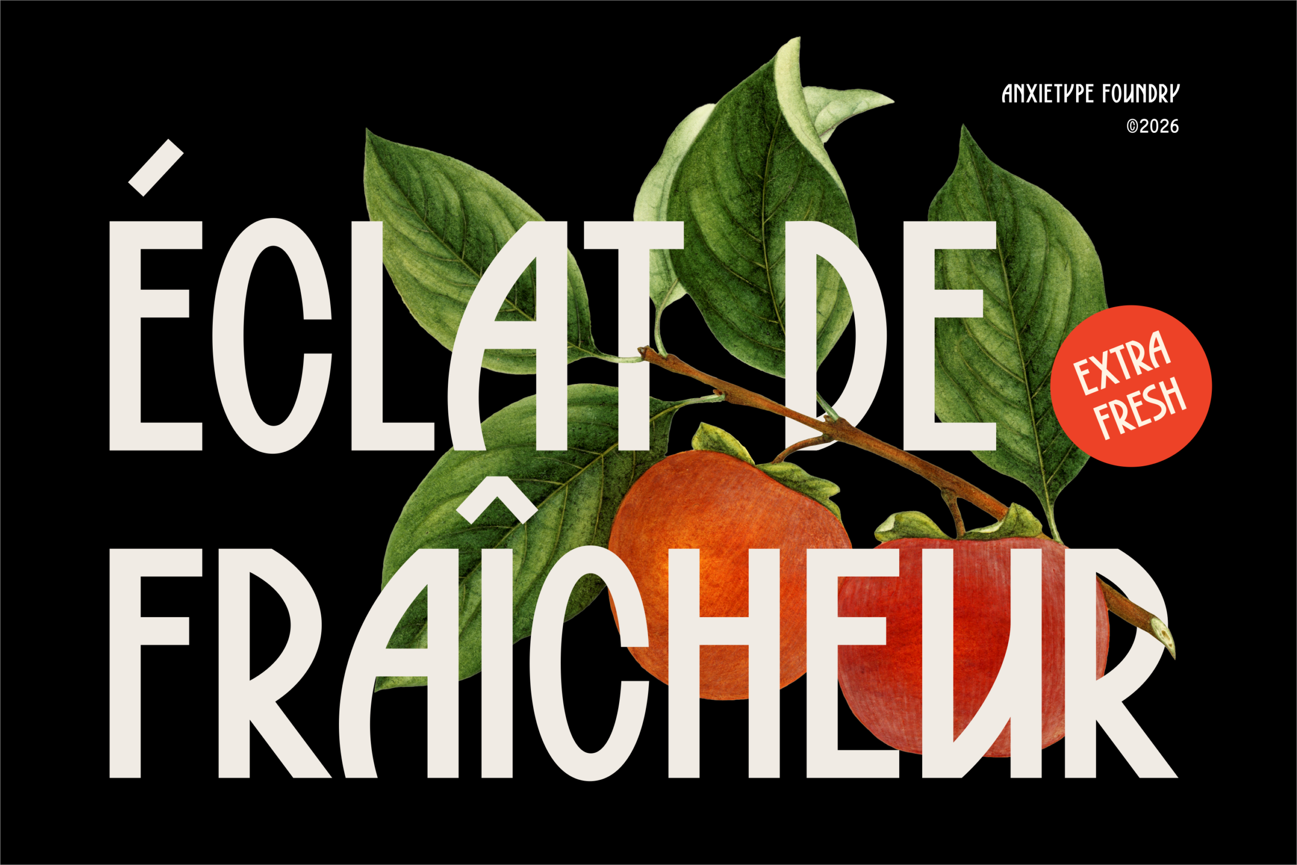 Retro poster design with bold white sans-serif lettering overlaid with illustrated tomato, leaves on black background