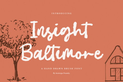 Insight Baltimore font by Anxietype Foundry