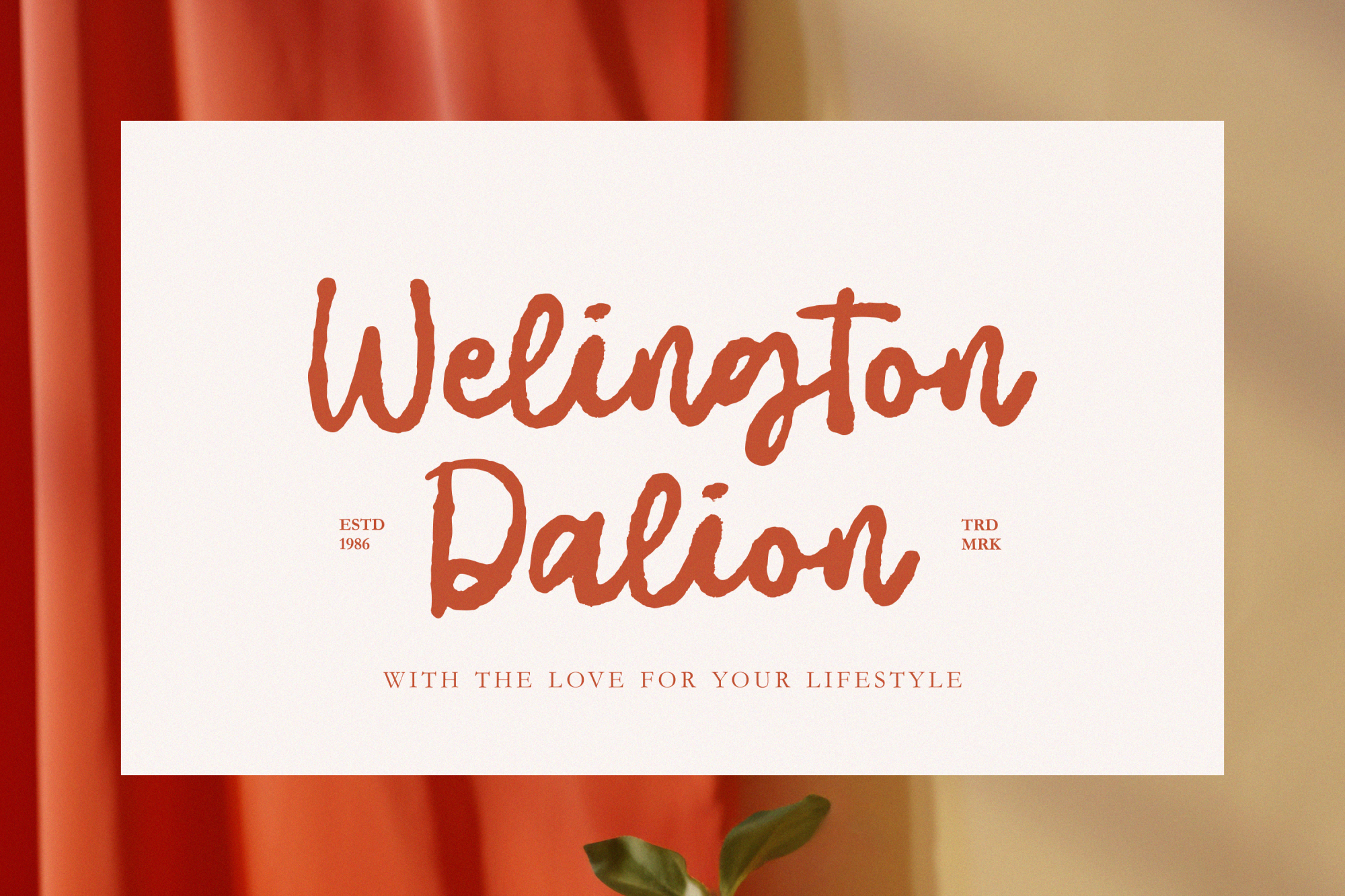 Insight Baltimore font by Anxietype Foundry