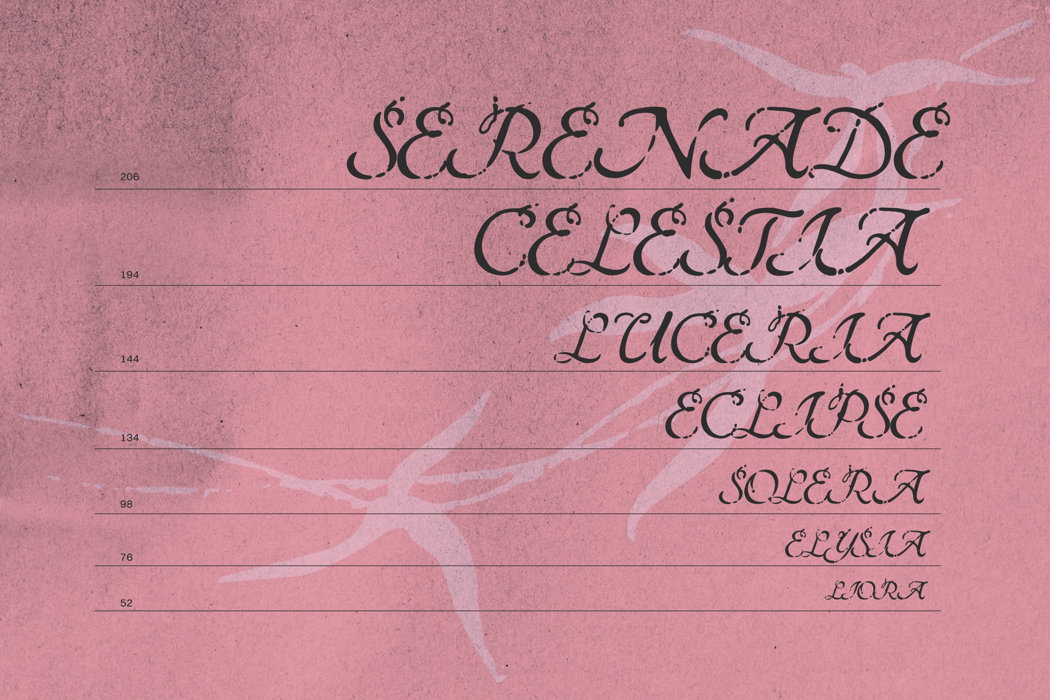 Serenaded Celestia font family showing script weights from 52 to 206 on textured pink background
