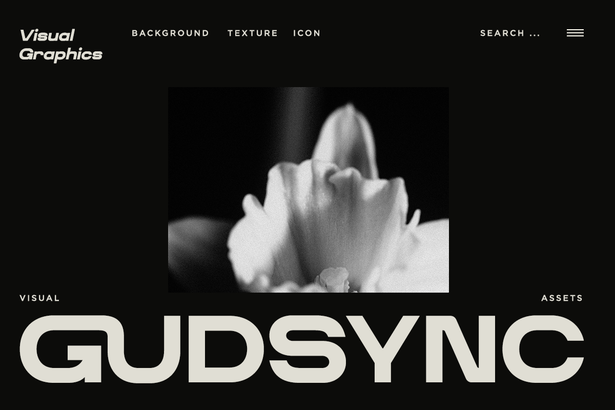 Soft-focus black-and-white flower petals with dramatic lighting on dark background