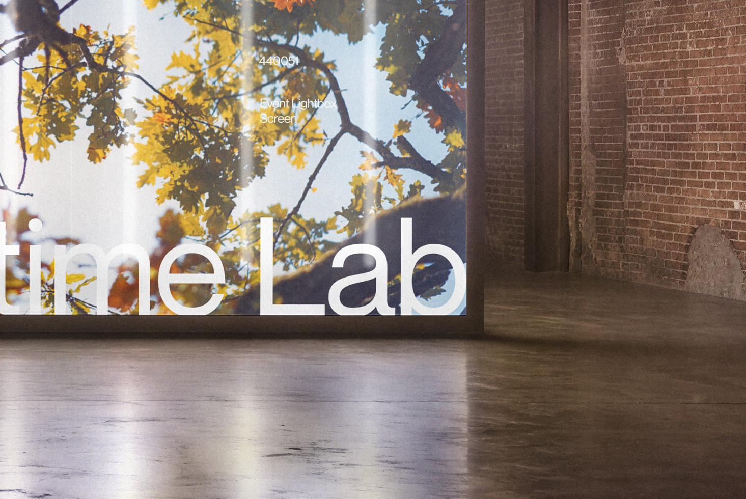 Large screen mockup showing autumn foliage with branding text in minimal gallery space
