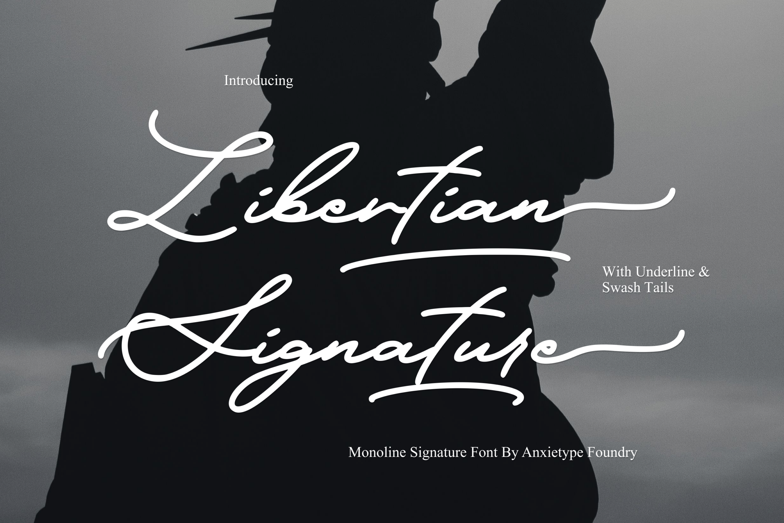 Libertian Signature font by Anxietype Foundry