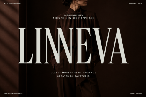 Linneva serif font displayed in large white letters over moody brown portrait photography