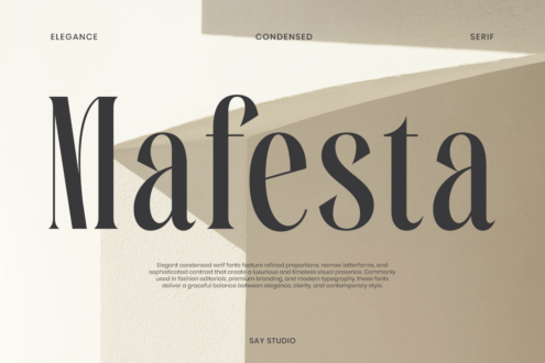 Maesta condensed serif font displaying elegant letterforms with geometric shapes in neutral tones