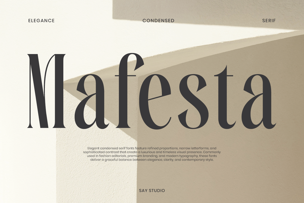Maesta condensed serif font displaying elegant letterforms with geometric shapes in neutral tones