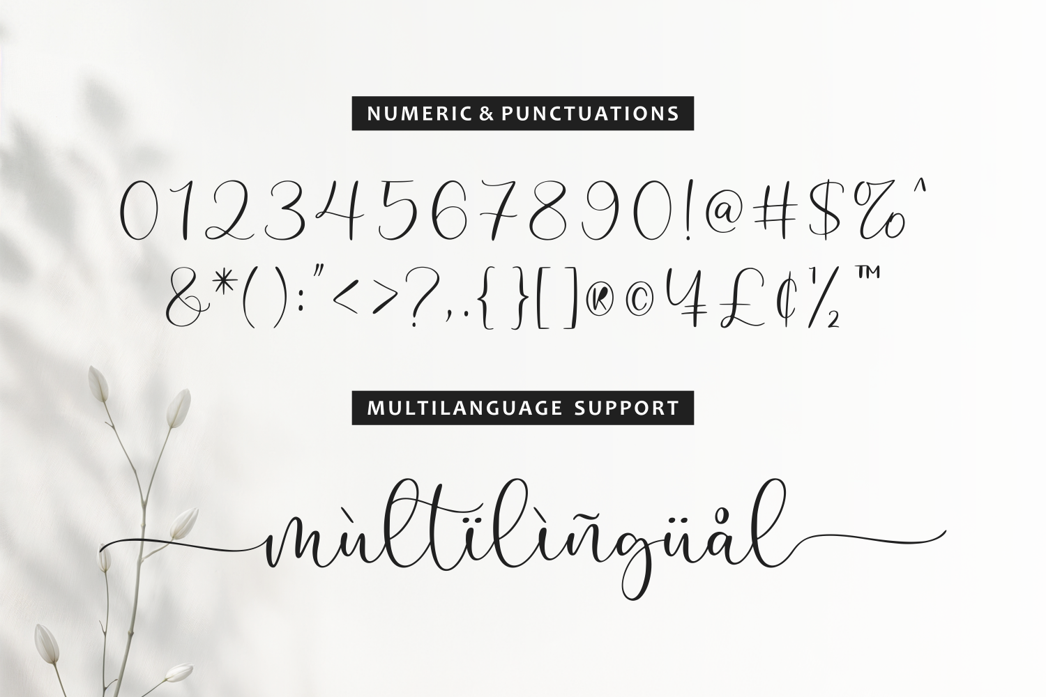 Elegant serif font showing full numeric set, punctuation marks, currency symbols, plus multilingual script sample on cream background with dried flowers
