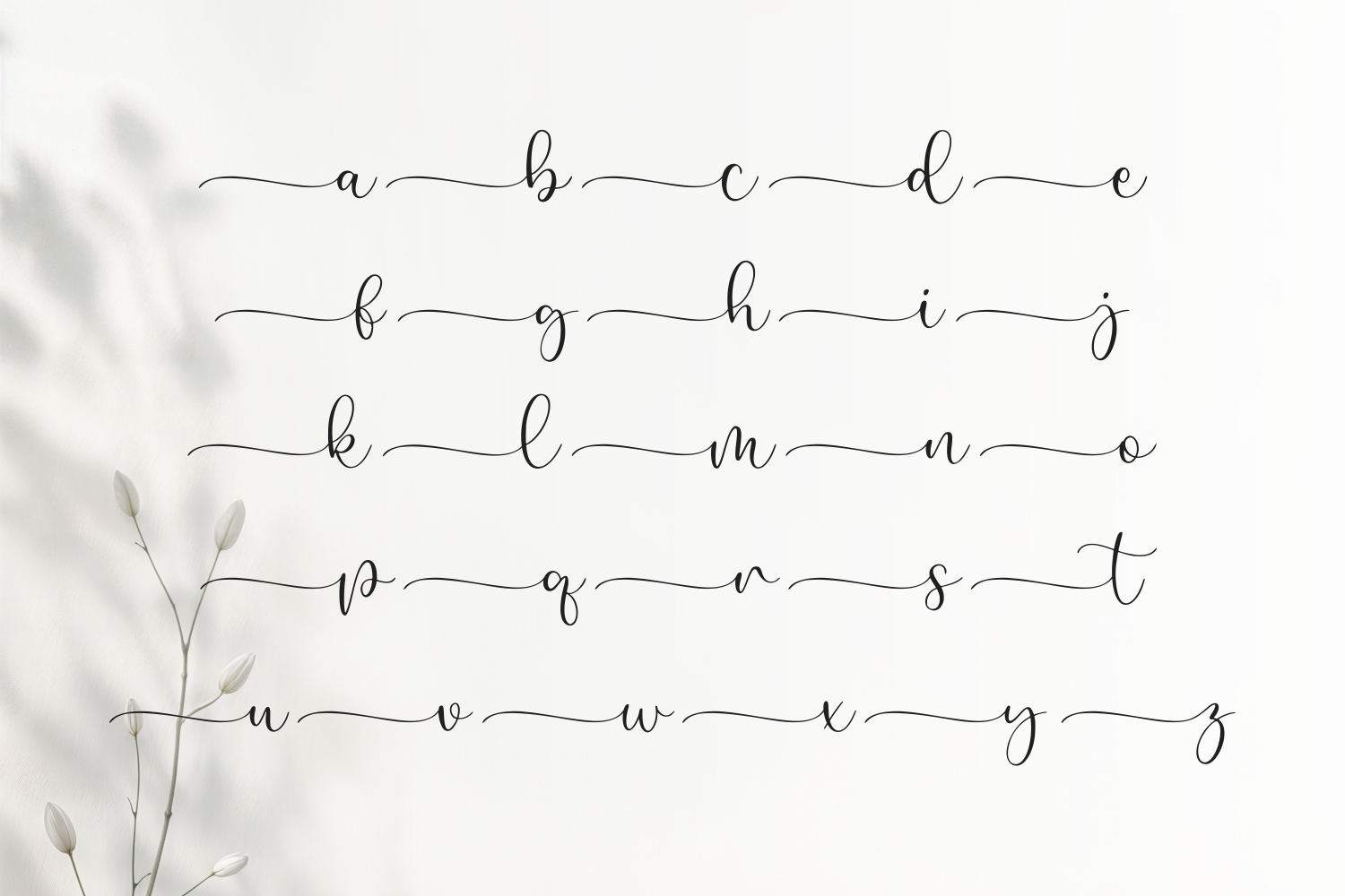 Delicate handwritten script font with connected letterforms, minimal aesthetic with dried botanicals
