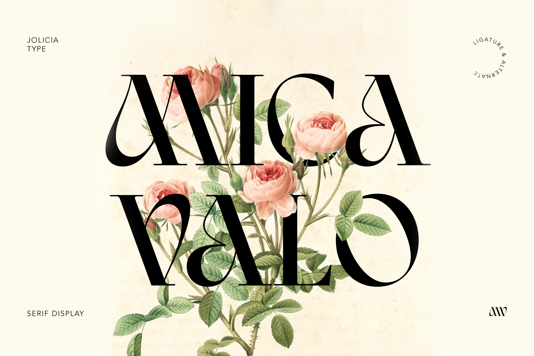 Jolicia serif display font with pink roses woven through black letters on cream background