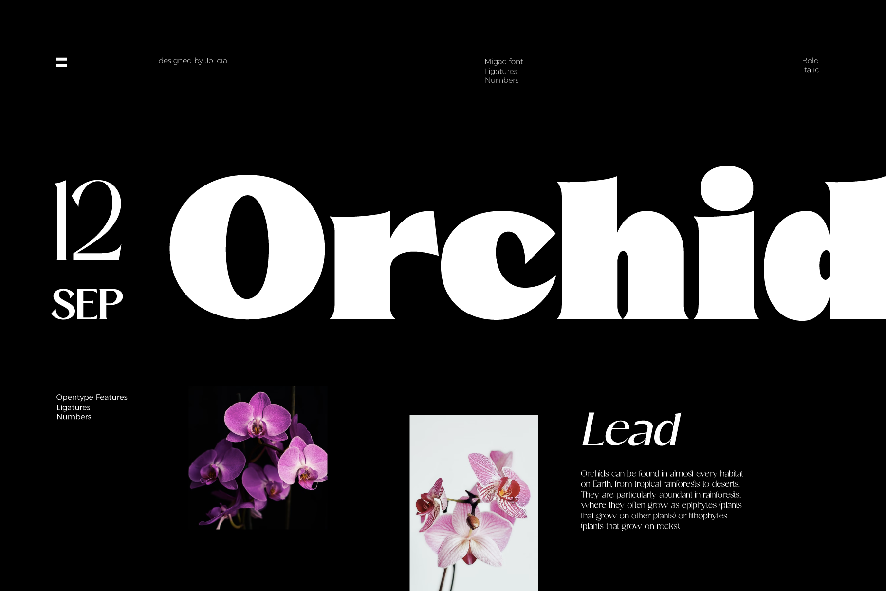 Migae font specimen showing bold italic typeface with orchid photography on black background