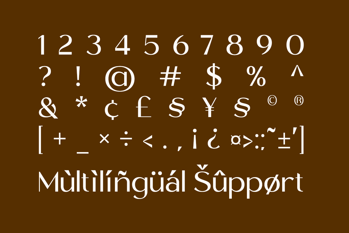 Modern serif font displaying full character set with numbers, symbols, currency signs, punctuation on brown background